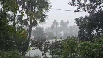తూర్పు గోదావరి: జిల్లాలో దంచికొట్టిన వర్షం