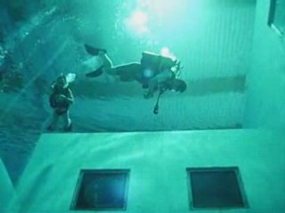 Nemo 33 Opus N°05 EPILOGUE