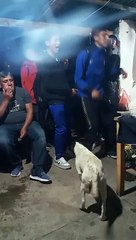 Alabados peculiares de Todos Santos