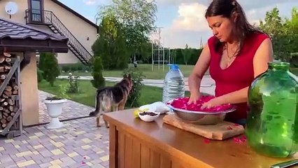 Three Variants of Tempting Dishes with Carp_ From Royal Cooking
