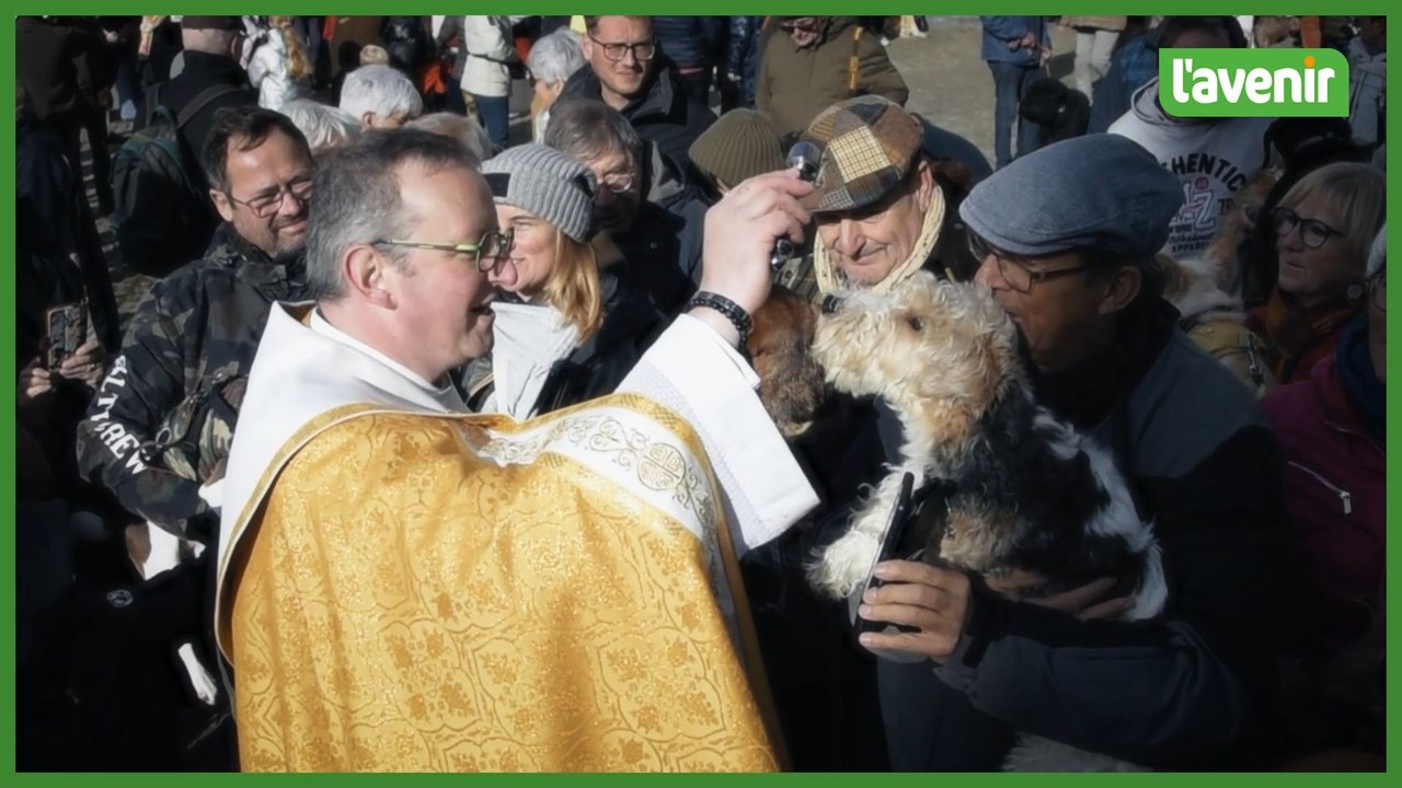 Saint Hubert fêté avec la bénédiction des animaux