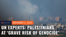 UN experts say ceasefire needed as Palestinians at ‘grave risk of genocide’