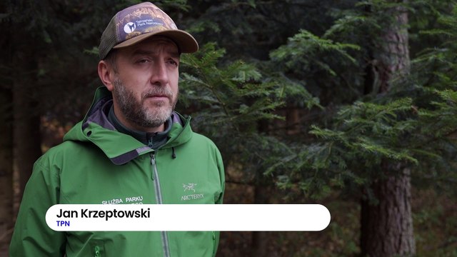 Tatry - halny powalił drzewa, zamknięte szlaki w górach