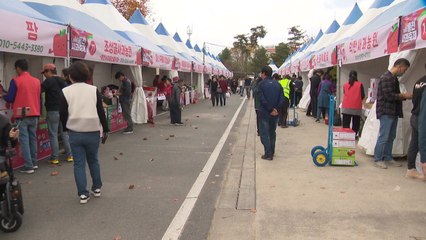 제8회 홍천 사과축제 개막...5일까지 사흘간 열려 / YTN