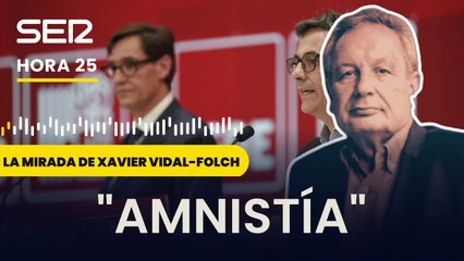 Vidal-Folch: "En 2012 el PP hizo una amnistía por delitos fiscales y los togados no chistaron"