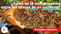 ¿Cómo es la comunicación entre las abejas en su colmena? | 601 | 06 al 10 de octubre de 2023