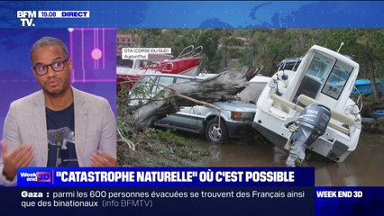 Télécharger la video: Tempête Ciarán: 325.000 foyers restent privés d'électricité ce soir en France