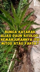 Hoax atau fakta ?