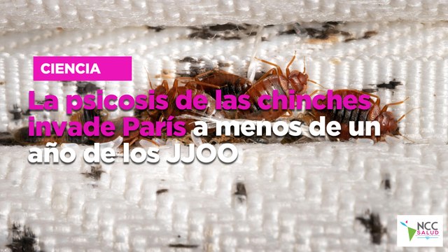 La psicosis de las chinches invade París a menos de un año de los JJOO