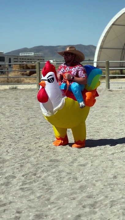 Poulet de course de barils