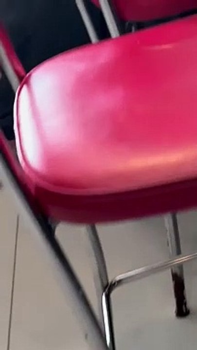 Comportamento de filha de Tata Werneck impressiona fãs em vídeo: "Uma mini querida"