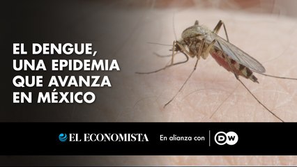 El dengue, una epidemia que avanza en México