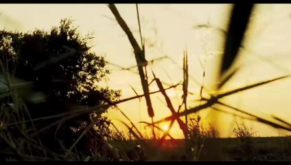 Tráiler | La matanza de Texas: El origen