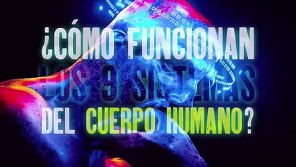 Te explicamos: ¿Cómo funcionan los 9 sistemas del cuerpo humano? - #ExclusivoMSP