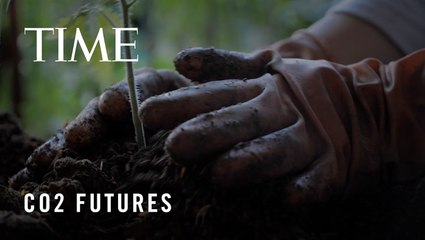 A Tree Grows in Boston