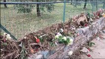 Maltempo Prato, crolla il muro del cimitero di Chiesanuova