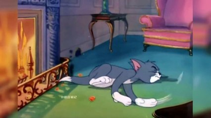 tom and jerry real life