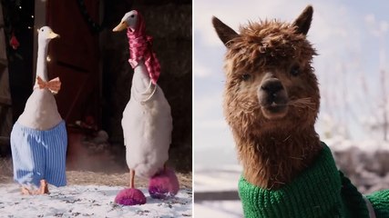 TK Maxx Christmas advert puts lighthearted festive spin on farmyard