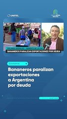 Bananeros paralizan exportaciones a Argentina por deuda