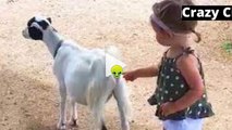 Videos De Risa 2023 Nuevos - Bebes Graciosos - Momentos Divertido Bebes  en el zoológico - Funny Videos