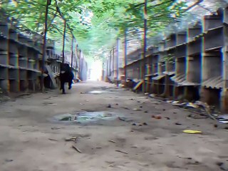 Funny moments of pet in life