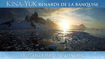 Kina & Yuk : renards de la banquise | movie | 2023 | Official Trailer