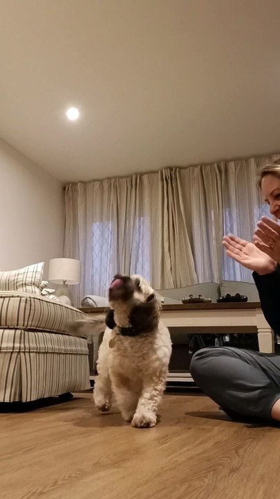 Maggie's Got Moves