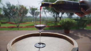 Despite growing domestic and international acclaim, China wine industry still needs time to mature