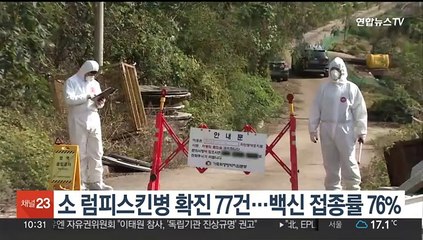 소 럼피스킨병 확진 77건…백신 접종률 76%
