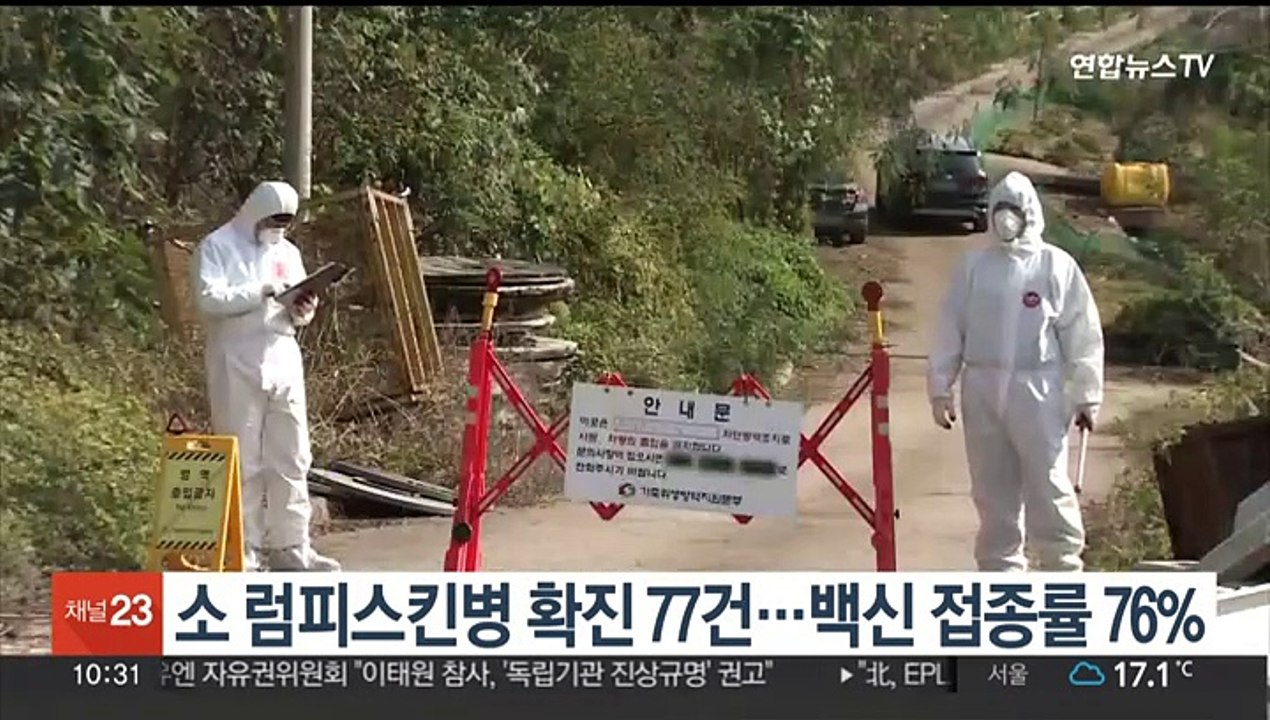 소 럼피스킨병 확진 77건…백신 접종률 76%
