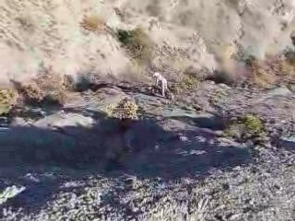 TRIAL CURBANS 2 (12)