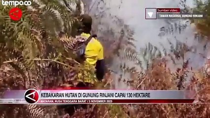 Kebakaran di Gunung Rinjani Meluas Hingga 130 Hektare