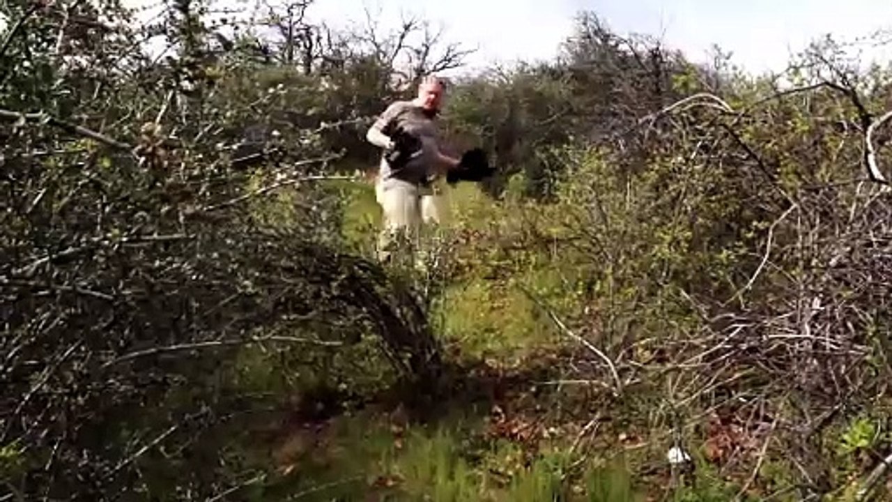 We Found Bigfoot Movie