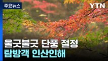 장성 내장산 애기단풍 절정...울긋불긋 가을 정취 만끽 / YTN