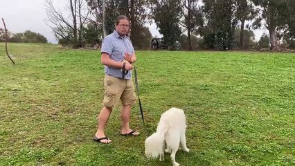 Mercury is in Retrograde - Astronomy Explained! | Dr Brad Tucker