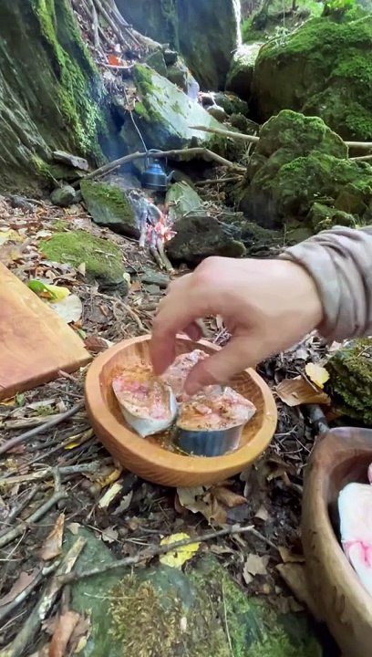 Fish in the Forest