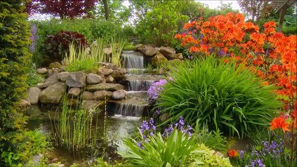 -Barry White - Love Song -