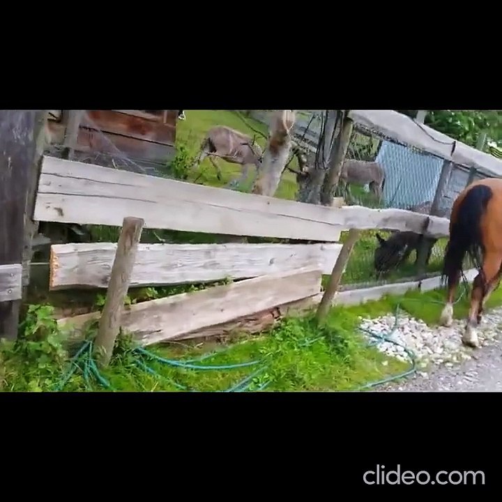 lebenslauf manuel zeitler neu neu i22TVK5I (3)