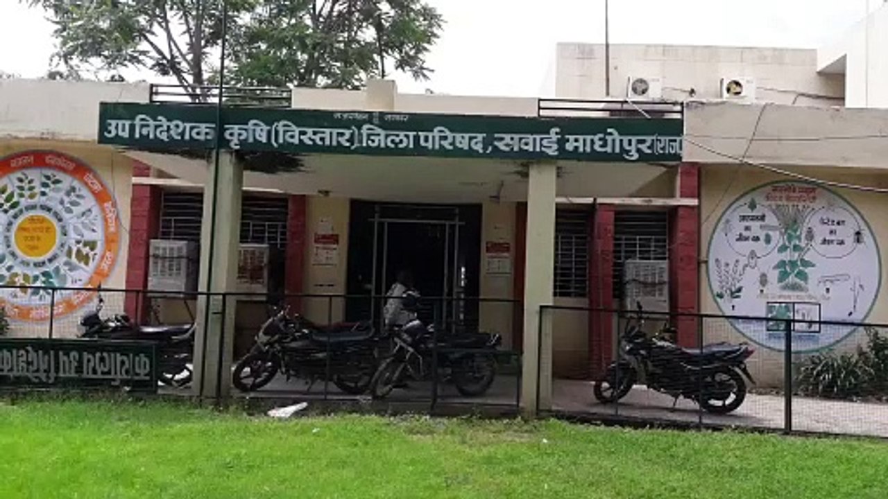 जिले में इस बार चना व सरसों की बुवाई पकड़ेगी जोर