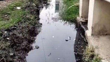 मंदसौर: क्षेत्रीय समस्या से परेशान जनता,शिकायत के बाद भी नहीं हुई कार्रवाई