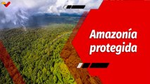 El Mundo en Contexto | Pdte. Lula Da Silva desarrolla plan contra la minería ilegal en la  Amazonía​