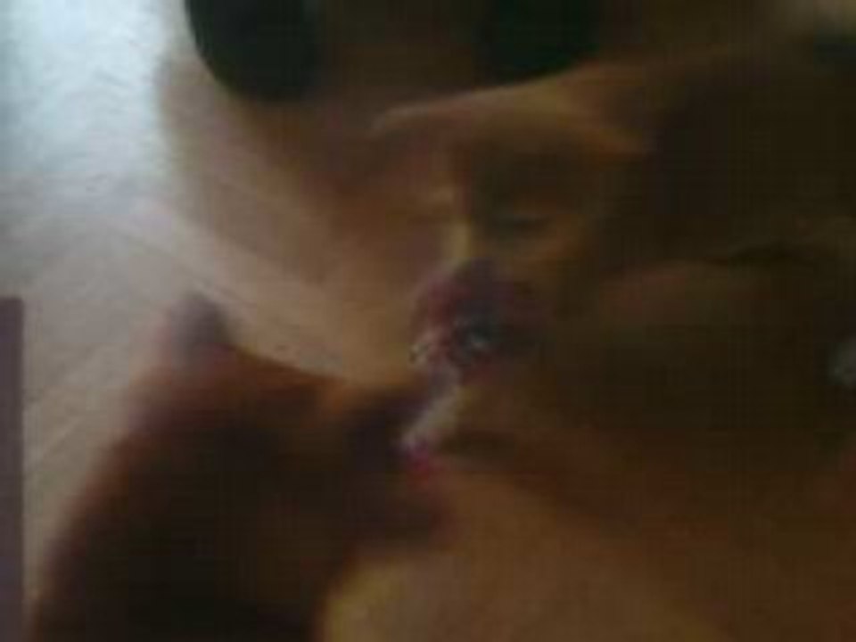 gengis et Chiara!