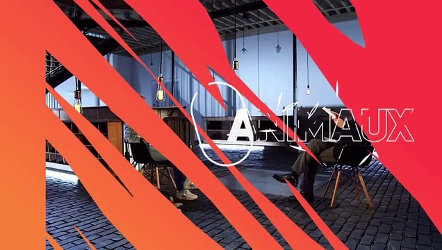 Bernard Montiel reçoit Véronique Jannot et Laetitia Barlerin dans Animaux Stars le 4 novembre 2023 sur Animaux TV.