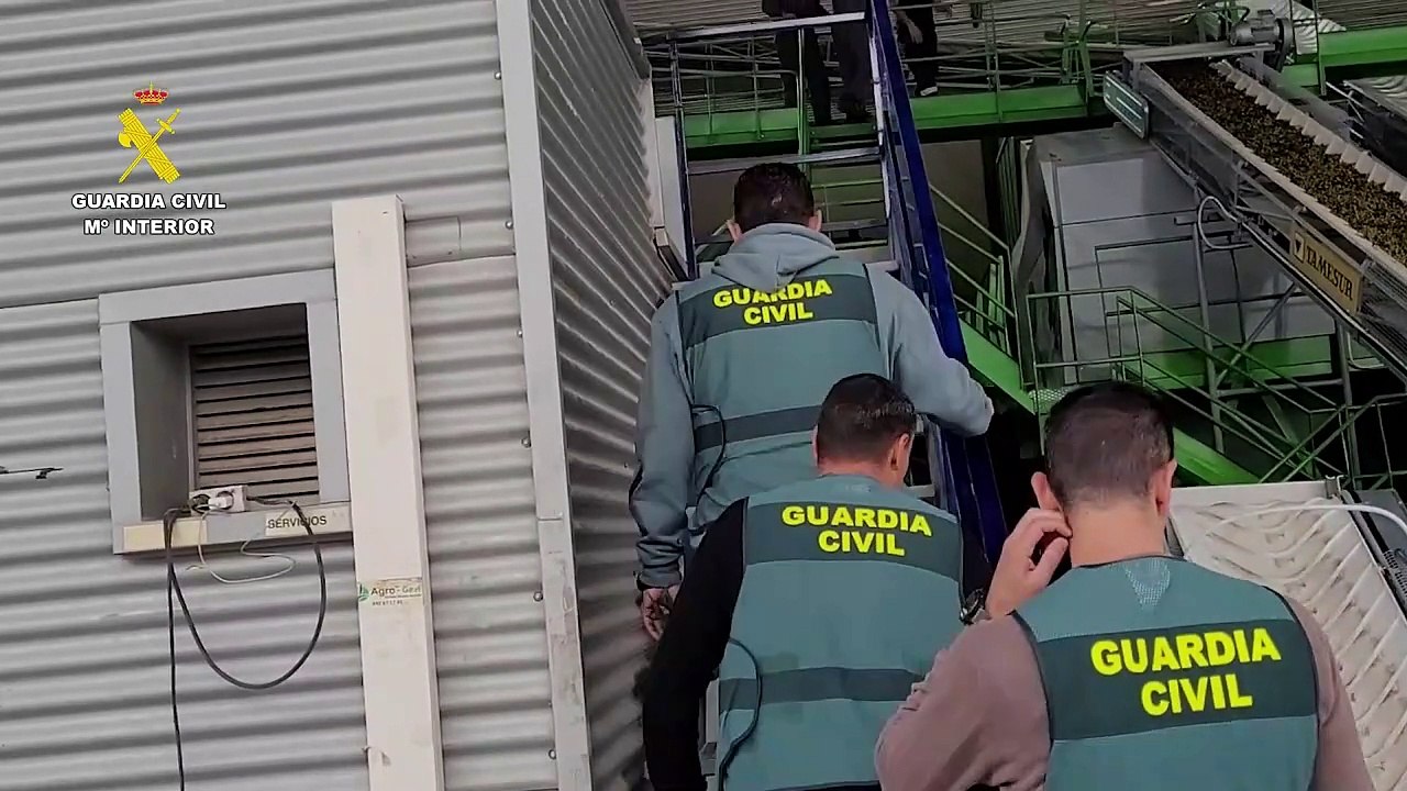 Activado el dispositivo de la Guardia Civil para la prevención y control de robos de aceituna