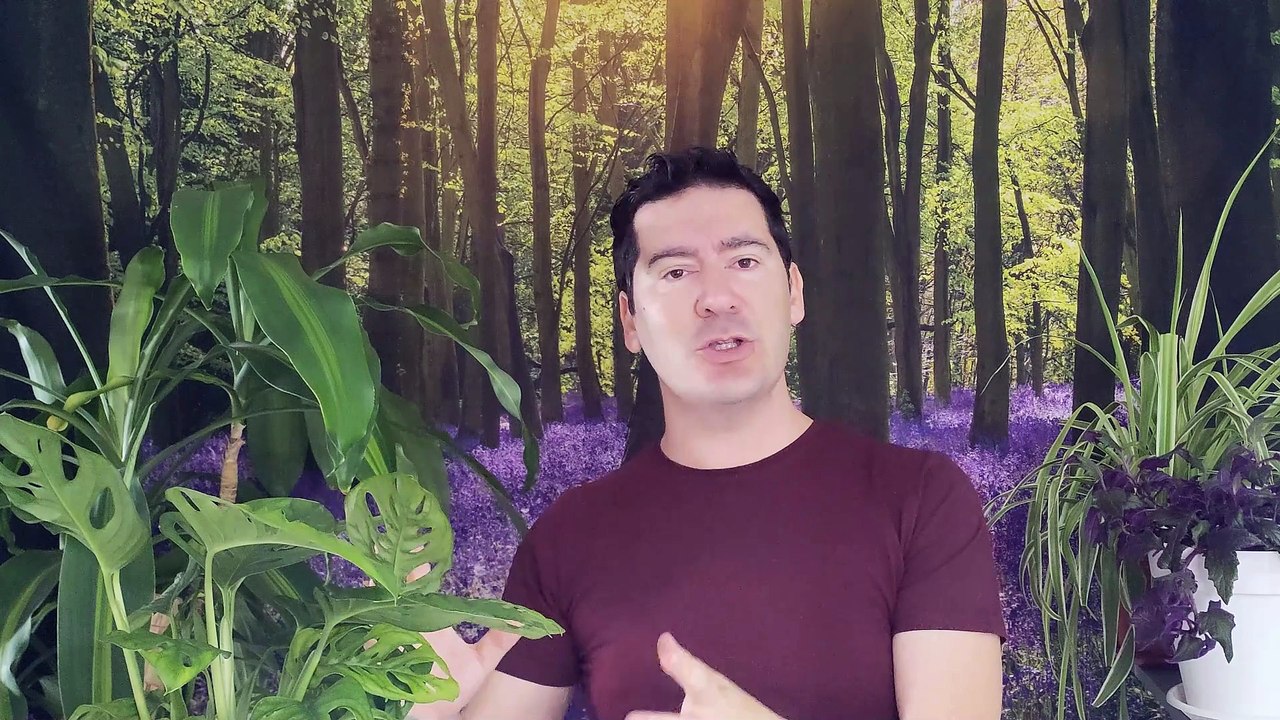 10 NEGOCIOS RENTABLES PARA AMAS DE CASA CON POCA INVERSIÓN