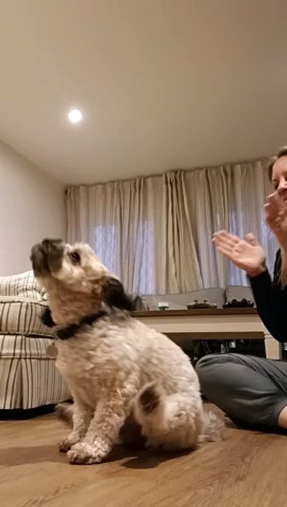 Maggie's Got Moves