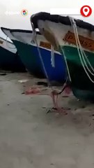 طائرات الاحـ ـتـ ـلال تدمر مراكب صيد بميناء الصيادين في غزة