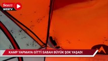 Kamp yapmaya gitti, sabah gördüğü manzara şoke etti