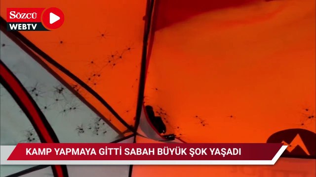 Kamp yapmaya gitti, sabah gördüğü manzara şoke etti