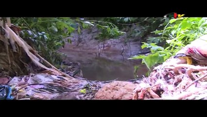 Impact: Making Tomorrow Better - 02 Novembre 2023